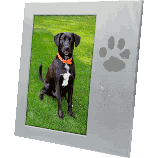 Front image of Picture Frame