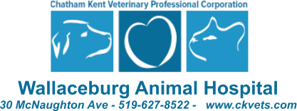 Wallaceburg Animal Hospital