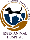Essex Animal Hospital