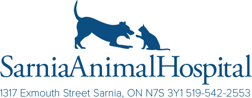 Sarnia Animal Hospital