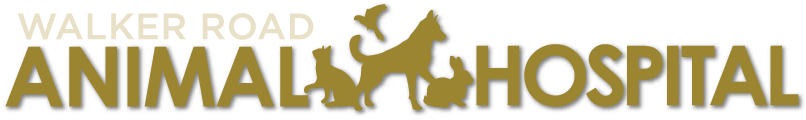 Walker Road Animal Hospital