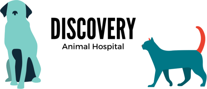 Discovery Animal Hospital