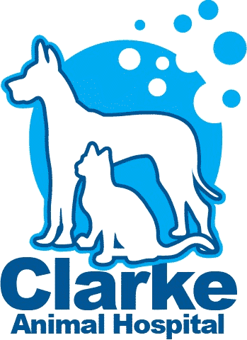 Clarke Animal Hospital